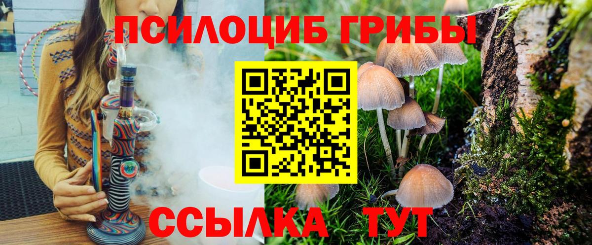 Галлюциногенные грибы MAGIC MUSHROOMS Железногорск