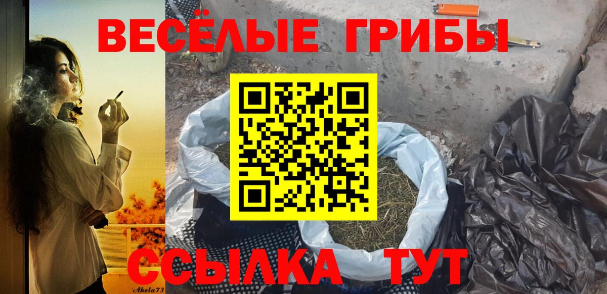 Псилоцибиновые грибы Psilocybe  купить   Железногорск  Вход с VPN 